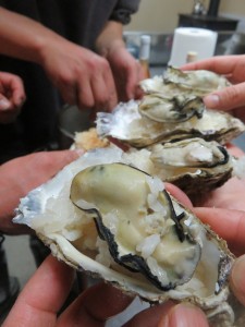 12805992_953615598049840_7014136183354177737_n