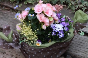 12822668_956746527736747_1275093727_o