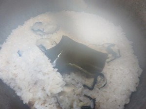 12832401_953615524716514_3851803016554598267_n