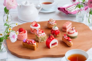 12841191_543710972473013_5399814551993830962_o