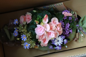 12842670_956746531070080_2002995345_o