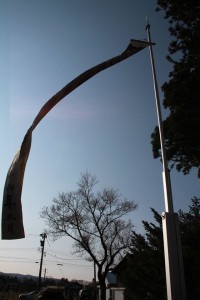 12890937_968437213234345_2784100551055086372_o