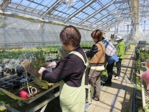 12899455_967490263329040_758616328_o