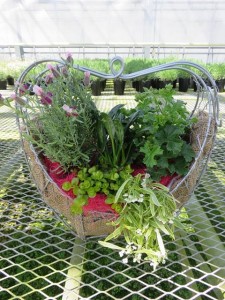 12900015_967490289995704_615212619_n