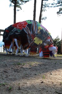 12901043_968437103234356_8815328048262389793_o