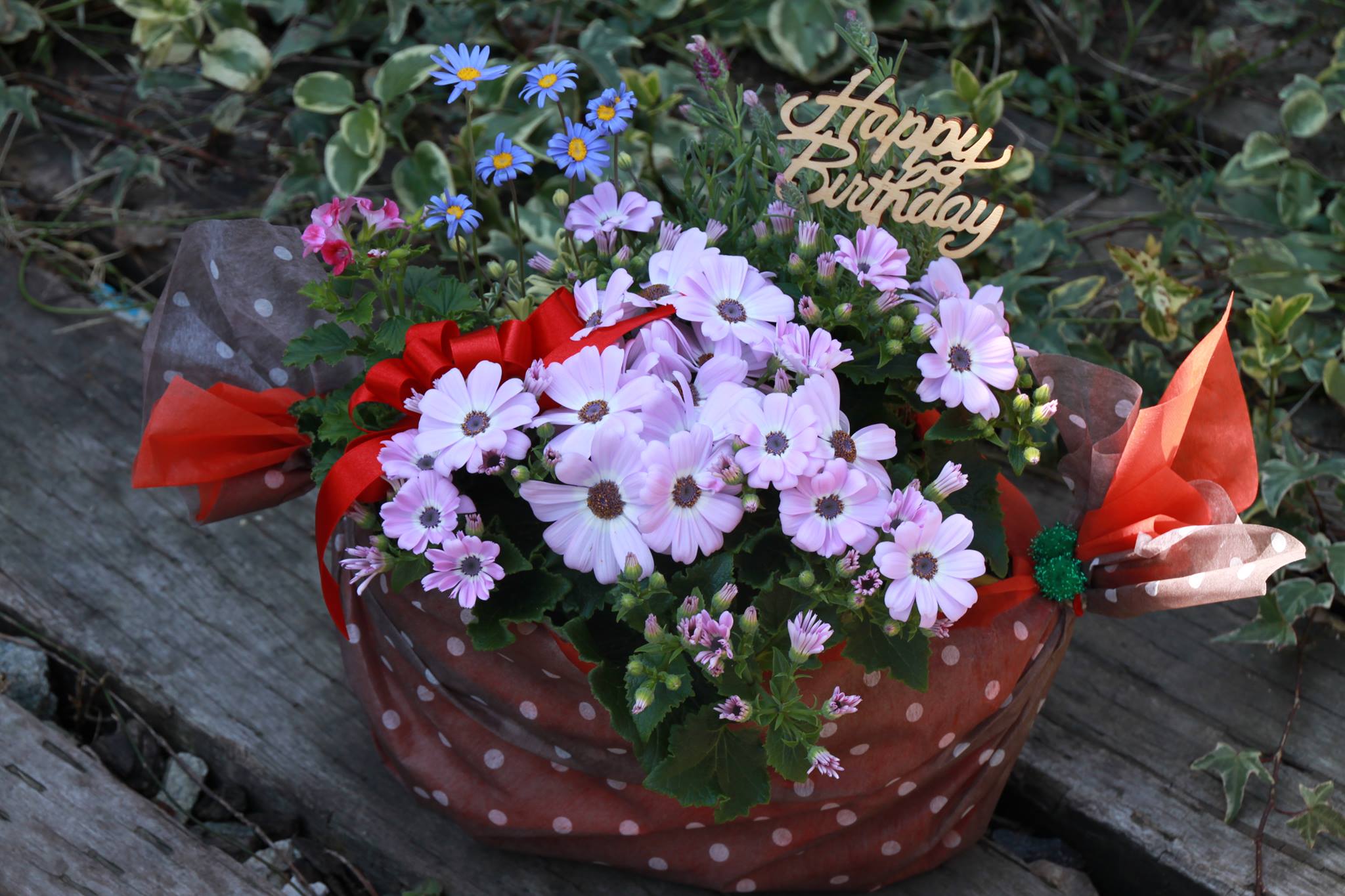 お花のギフト賜ります☆