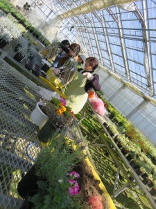 12903818_967490256662374_414073840_o