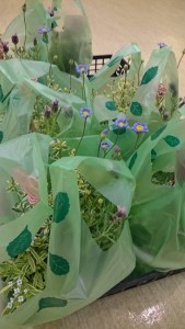 12910409_970087289736004_2002217685_n