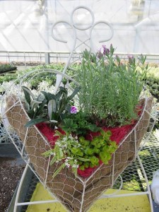 12910687_967490276662372_1434207868_n