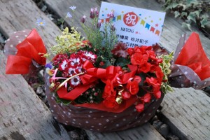 1377607_959352587476141_5673973339151870333_n