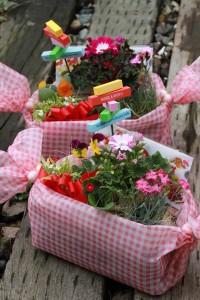 1421322_956416044436462_518367145_n