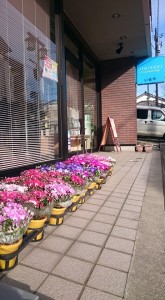 1934484_959856734092393_3601403418073521629_n