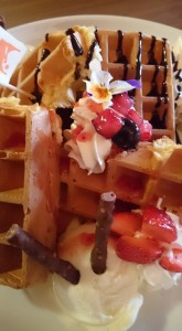 12472314_977703115641088_3855069363058857061_n