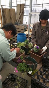 12524164_1079672505428665_4569258948145655269_n