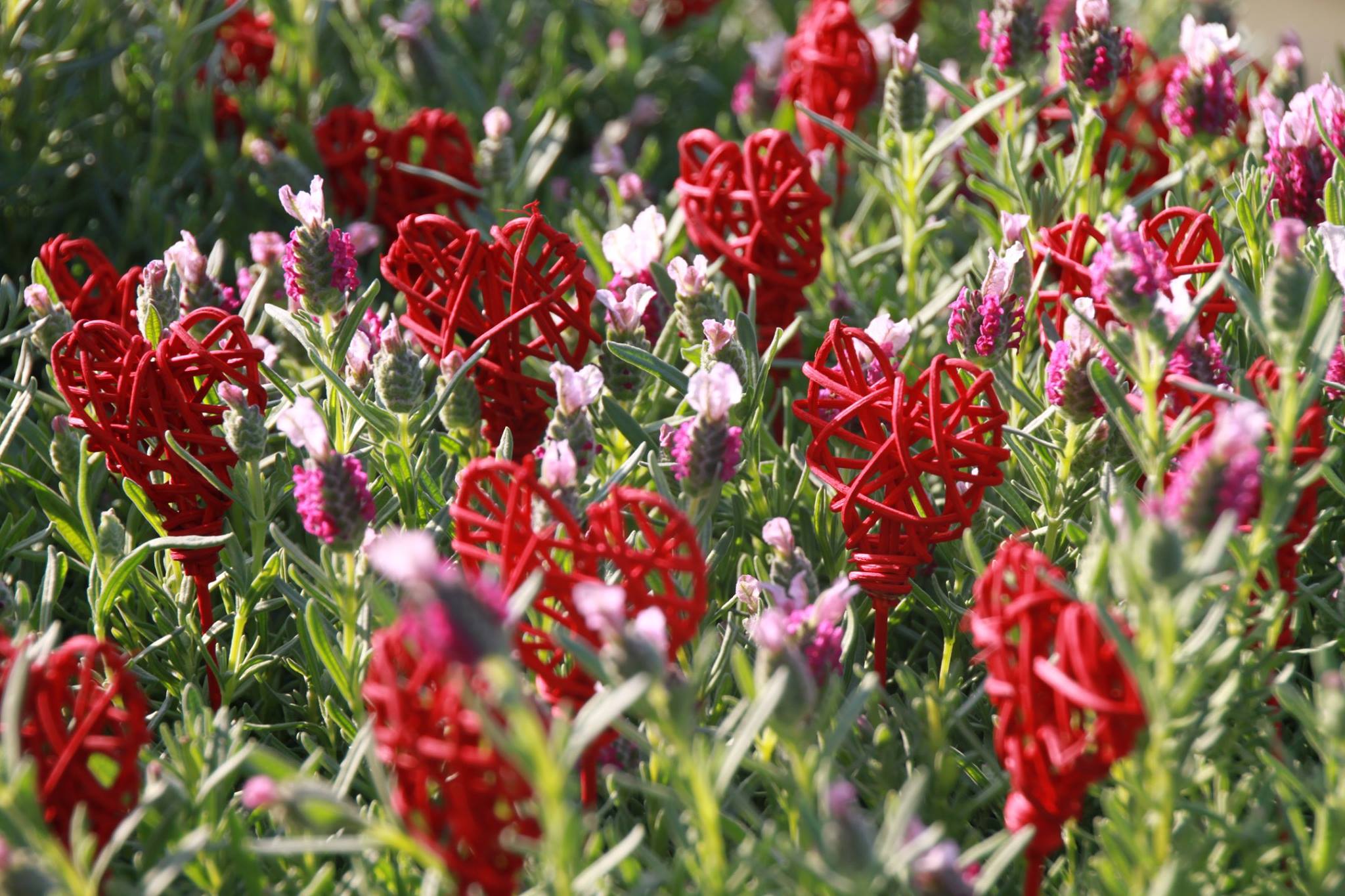 「真心」の良い循環