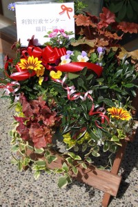 12899737_971802499564483_1400442559_n