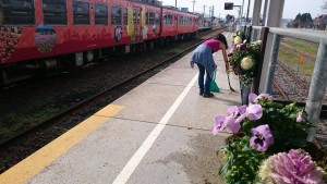 12903849_972603316151068_1294786261_o