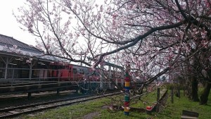 12915112_972603302817736_1548755698_o