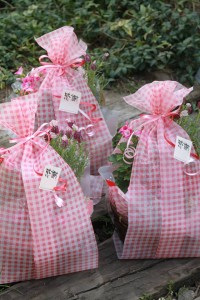 12919078_972978892780177_336443311_n