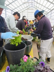 12919797_974249169319816_7847961251092137810_n