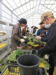 12920289_974249219319811_2368763362689289984_n