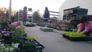 12921975_974677402610326_604196420_o