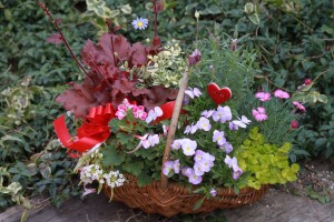 12922334_972581616153238_1021559712_o