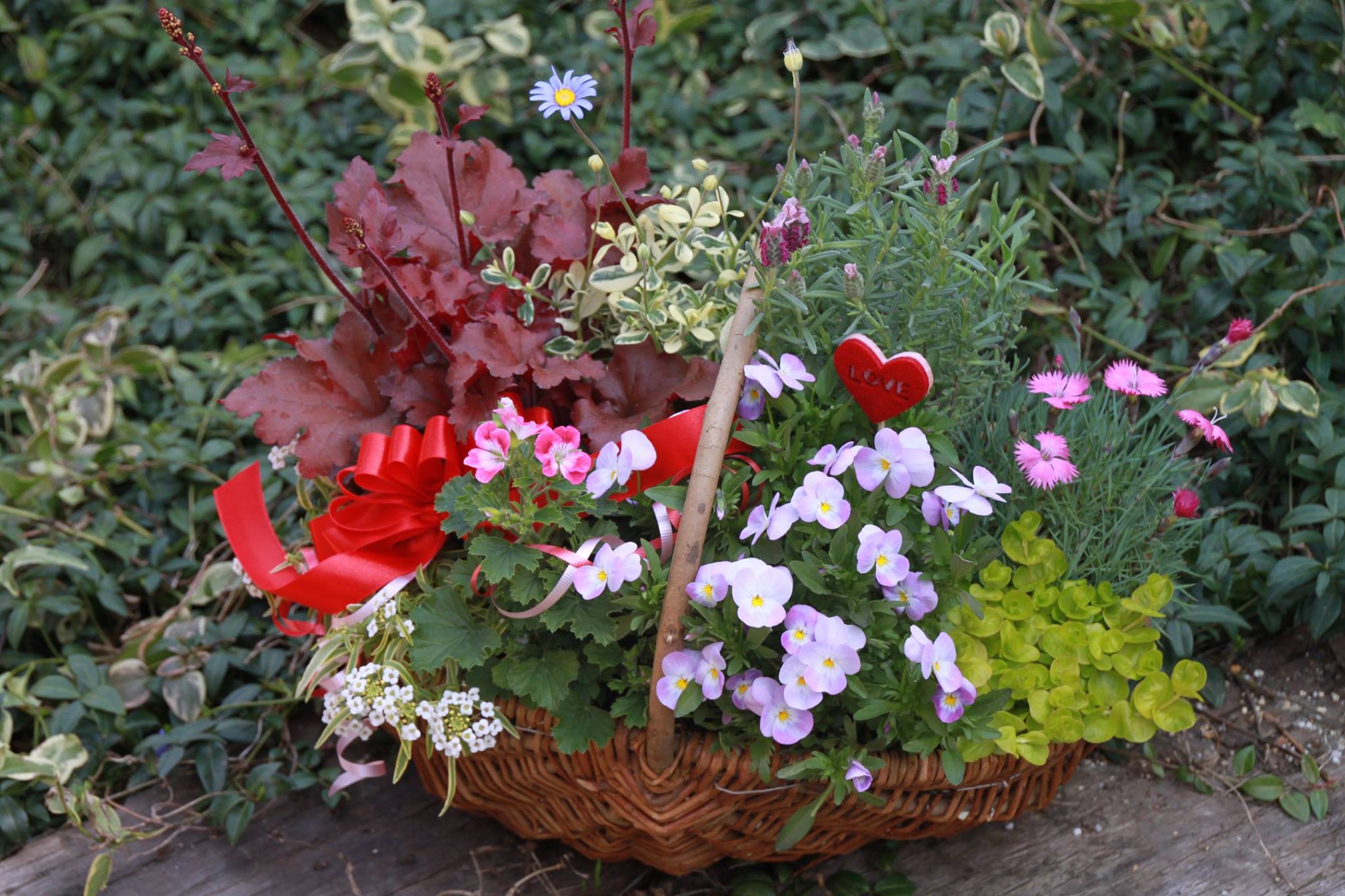 フラワーンダフルギフト続々☆