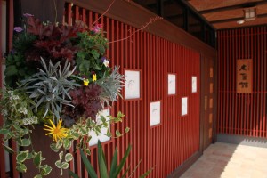 12947083_972580619486671_48296148_o