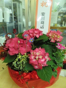 12957193_975319542546112_2037005812_n