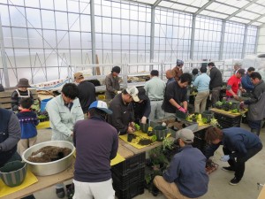 12961728_974249152653151_6380263871182710884_n