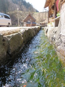 12968788_979803492097717_304330132_n