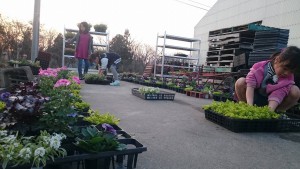 12970407_974677355943664_36175743_o