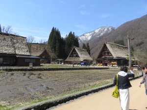 12986838_979803465431053_650364174_o