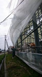 12993471_982882651789801_9112909940228759444_n