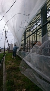 12994562_982882671789799_2443542101999404405_n