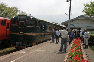 13002596_987164911361575_9108707399651093561_o