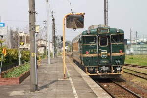 13029637_987165034694896_6107294146268772540_o