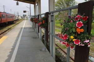 13041037_987165284694871_6033109961042926790_o