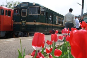 13048112_987164971361569_459854672308285565_o