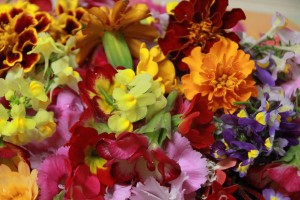 13062926_1602937630032496_4460113969524134185_o