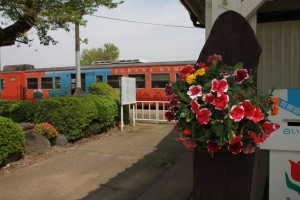 13063380_987165378028195_7111771753828025179_o