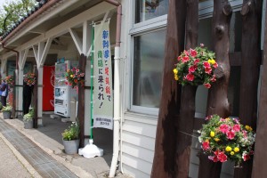 13063483_987165178028215_148111441962796700_o