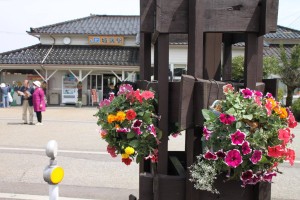 13064578_987165098028223_6519913937496478904_o