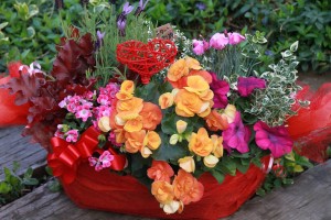 13078223_985111194900280_1255764356_o