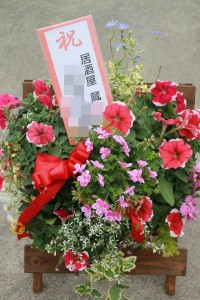 13084115_987176358027097_408893146_n