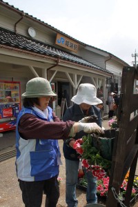 13087735_987164858028247_7041623800846242492_n