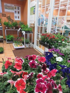 13115424_990217737722959_1880645396_n