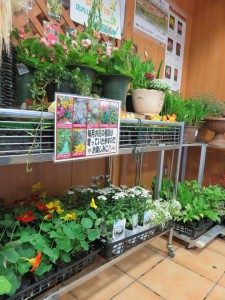 13115858_990217747722958_75449436_n