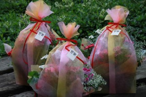 13120778_989620997782633_1566918786_o